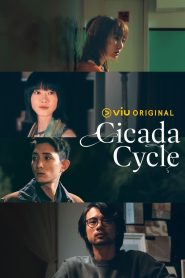 Cicada Cycle (2024)